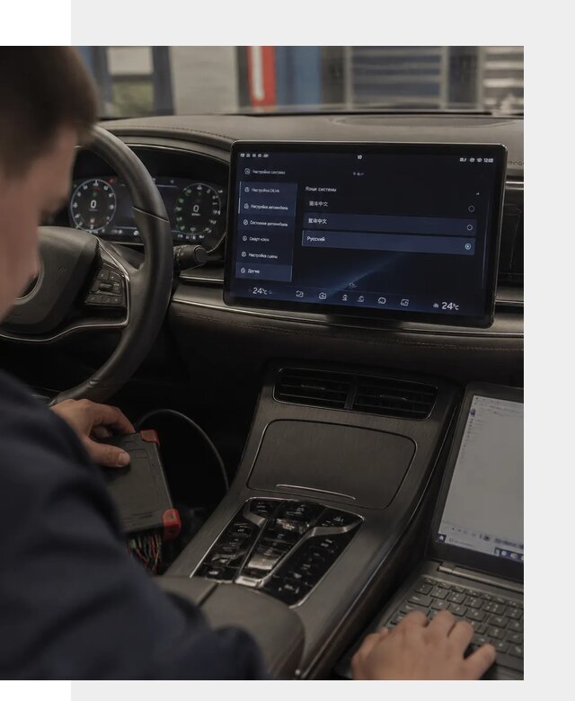 Русификация автомобиля BYD HAN для эксплуатации в Альметьевске