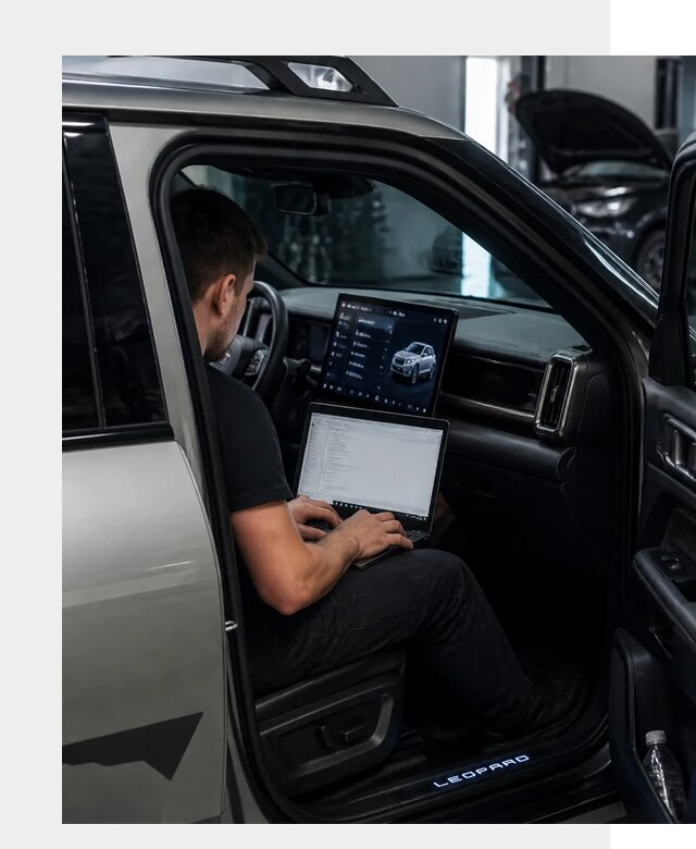 Русификация BYD Leopard 3 в Альметьевске по цене от 20656 р. | ФастМобиль-Льм